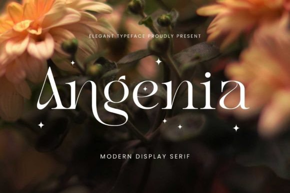 Angenia Font: A Modern Serif for Memorable Branding