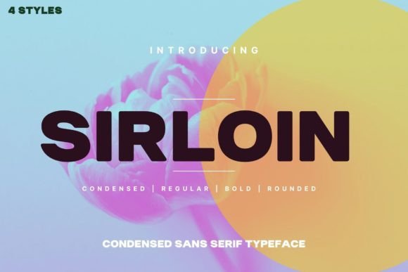 Sirloin Font: A Bold Choice for Branding and Creative Campaigns